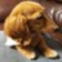 発達障害ママが発達障害児