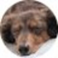 ふくしんづけ