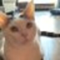 🅼🅰︎🆁🅸♔🄹🄺❦✞ฅ^