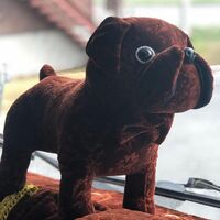 けんご