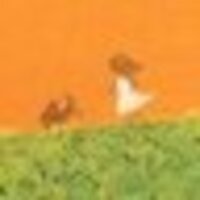 河合奈保子さんの著作「わ