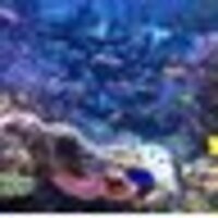 聖夜@トップシークレット