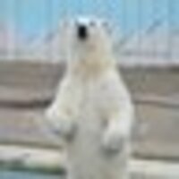 たらお