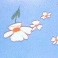 余白が狭すぎる