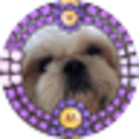 ましゃのまま #V