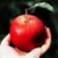 ホロライブ切り抜きCH.