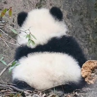 かわいいパンダです