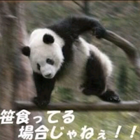 Da-iCE好きのただの6面