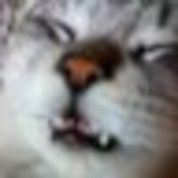 フジマキ(あと5㎏！今年