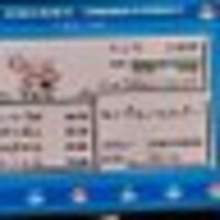 せんべいちゃん