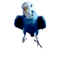 yuito