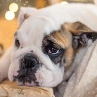 Thelabshop